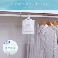 アストロ 除湿パック Moisture Absorber 10Set 730-74 1セット(10個)（直送品）