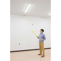 ナナミ 1・2・3秒ふりこ 学習用品・理科教材 108550 1セット（直送品）