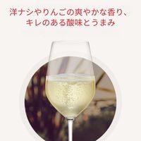 イタリア マルティーニ アスティ スプマンテ ブリュット 白 辛口 750ml 1セット（6本） スパークリングワイン サッポロ