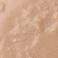 デビフ レンチン 温めてほかほかごはん ささみ＆レバー 国産 50g 24袋 デビフペット ドッグフード 犬用 おやつ