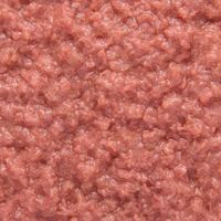 デビフ 馬肉ミンチ 国産 65g 48缶 デビフペット ドッグフード 犬 ウェット 缶詰