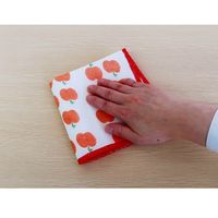 クラシック フルーツふきん アップル 約30×30cm 1枚 小久保工業所