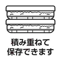 保存容器 冷凍ご飯 スノコ付 KKー668 食洗機対応 電子レンジ対応 日本製 1個（2個入）小久保工業所