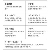 EMA 折りたたみ式 電子キーボード 61鍵 ホワイト SunRuck SR-DP08F-WH 1台（直送品）