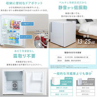 EMA 48L 1ドア 小型電子冷蔵庫 ペルチェ式 ホワイト SunRuck SR-R4805V2-W 1台（直送品）