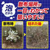 【除草剤】 フマキラー 泡の除草王 1000ml  1個