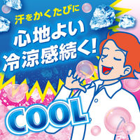 白元アース アイスノンシャツミストせっけんの香り 100mL 02433ー0 1本 衣類冷感スプレー