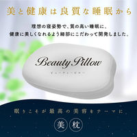 大河商事 もっちり安眠枕 まくら(カバー付き)安眠 低反発 肌触り 肩こり軽減 beapro18 1台（直送品）