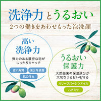 DHC マイルドフォーミングウォッシュ 1回分 3g×500包入　アメニティ　備品　ホテル　宿泊