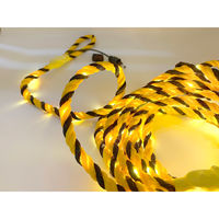 YAMAZEN タイガーフラッシュソーラーセット10m黄 YA-TIGFL-10-SET-Y 1セット（直送品）