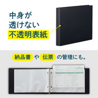 リヒトラブ AQUA DROPs クリヤーブック<ポケット交換タイプ> ファイル B6 黒 N5008-24 1冊（直送品）