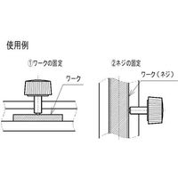 東京パーツセンター ラクテム ナイロン化粧ネジ 白 M3ー12 真鍮パッド付 MSSCW3-12 1個 664-6563（直送品）