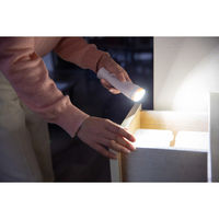 太知ホールディングス マルチセンサーライト KBN-504 1台（直送品）