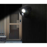 太知ホールディングス 防犯センサースポットライト KBN-505 1台（直送品）