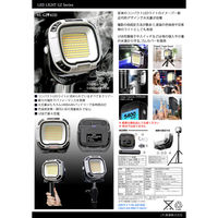 LPL LEDライト VLーGZ145D L26623 1個（直送品）