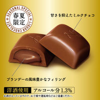 チョコレート菓子 洋酒薫る大人のスイーツ　深夜のショコラノワール　10粒入 1セット(1個×3)