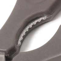 キッチンハサミ チャコール 1セット（1個×10） LAKOLE/ラコレ