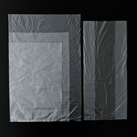 【アウトレット】ポリ袋 食品保存袋 L マチなし 冷凍・冷蔵・湯煎対応 カサカサタイプ 半透明 1箱（160枚入） オリジナル