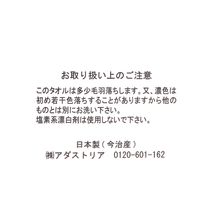 今治産ハンドタオル（タイポグラフィ） ピンク 1セット（1枚×10） LAKOLE/ラコレ