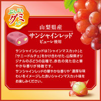 ソフトキャンディ ぷっちょ　赤いシャインマスカット味 1セット(1個×12)