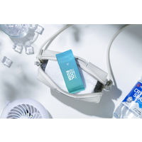 アイリスオーヤマ クールタオルポケットタイプ1袋（48枚：8枚入×6個）シート 冷却 ひんやりグッズ 使い捨て 携帯