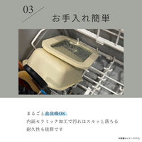 保存容器 600ml 調理可能 食洗機対応 グリーン ズボラ 1個 冷凍・冷蔵OK 電子レンジ・オーブン・ガス火OK 谷口金属