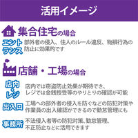 【アウトレット】DXアンテナ 防犯カメラ 監視カメラ PoE給電 固定焦点 ドーム型 屋外 防水防塵 200万画素 CNE3CDF1