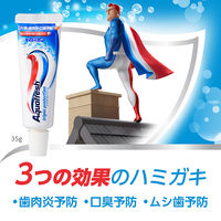 アクアフレッシュ ポータブルセット 歯磨き粉 Haleonジャパン