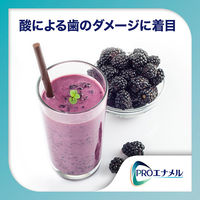 医薬部外品 シュミテクト PROエナメル やさしくホワイトニング エナメルケア 歯磨き粉 90g 1本 Haleonジャパン