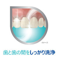 ポリデント デンタルラボ 薬用ハミガキ【医薬部外品】 歯周病 (歯肉炎・歯槽膿漏) 予防 100g Haleonジャパン