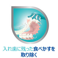 ポリデント　部分入れ歯・マウスピース専用ブラシ (色はお選びいただけません)  1本 Haleonジャパン