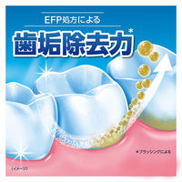 歯磨き粉 カムテクト コンプリートケアEX 歯周病（歯肉炎・歯槽膿漏）予防 105g Haleonジャパン