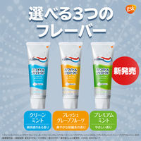 アクアフレッシュ ホワイト&プロテクト W フレッシュグレープフルーツ 140g 1本 Haleonジャパン 歯磨き粉