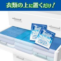 ドライ&ドライUP 除湿剤 シートタイプ 引き出し・衣装ケース用 12シート入 1個 白元アース