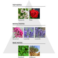 SINN PURETE（シンピュルテ） マインドフル フレグランス ノンアルコール パッショネート・アウェイクニング 100mL