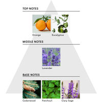 SINN PURETE（シンピュルテ） マインドフル フレグランス ノンアルコール ピュリフィケーション・オブ・マインド100mL