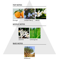 SINN PURETE（シンピュルテ） マインドフル フレグランス ノンアルコール スティルネス＆エナジー 100mL