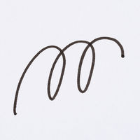 パイロット サインペン スーパープチ中字 ブラック SEG-10M-B 1箱（10本入）