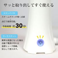 SIS ハンディスチーマー パワフル アタッチメント付き 80ml ハンガーに掛けたまま シワ伸ばし MW-803 1台