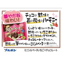 ミニシルベーヌ いちご×チョコレート 3袋 ブルボン チョコレート