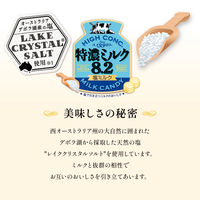 （セール）特濃ミルク8.2 塩ミルク 6個 味覚糖 キャンディ 飴