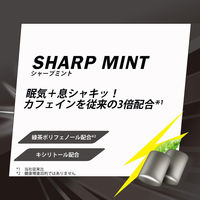 クロレッツXP シャープミント スタンドパウチ 3袋 モンデリーズ・ジャパン ガム