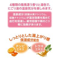 いい湯旅立ち 粉末薬用入浴剤 しっとりなごやか 雪見にごり湯の宿 1箱（12包入）白元アース