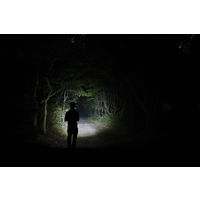 ジェントス REXEED 充電式ハンディライト 286R RX-286R 1個