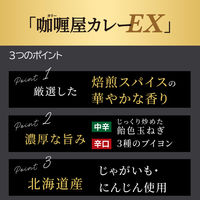 ハウス食品　カリー屋カレー　EX　辛口　1セット（1個（200g）×6）　レトルトカレー　レンジ対応