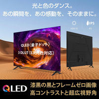 WIS QLED4K GoogleTV搭載3W2Tチューナー内蔵スマートテレビ 65GTV 1台（直送品）