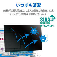 プライバシーフィルター CF-RZシリーズ用 10.1インチ のぞき見防止 抗菌 ブルーライトカット EF-PFKP01 エレコム 1個（直送品）