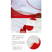 山田繊維 七宝 ベージュ 20724-205 10枚（直送品）