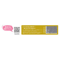日繊商工 吸水ヘアターバン 吸水美神 ブルーグリーン 545185 1個（直送品）