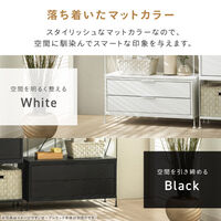 武田コーポレーション オープンラック専用 引き出しタイプ LN-H6-OHBK 1箱(1個入)（直送品）